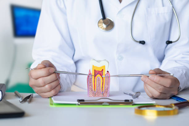 Best Walk-In Emergency Dental Services in Rolla, ND